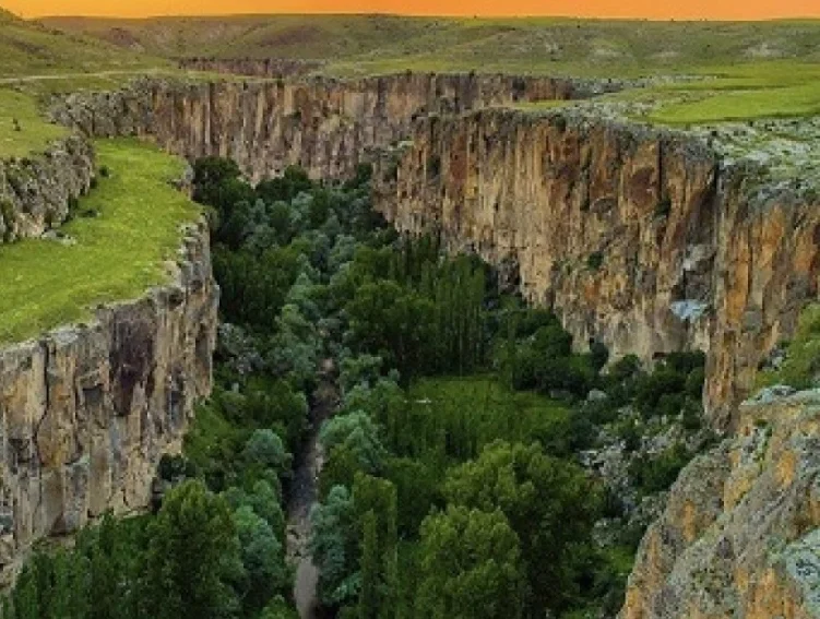 تور سامسون زمینی