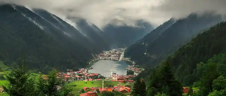 اجاره آپارتمان ترابزون باتومی