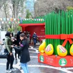 نوروز در باکو